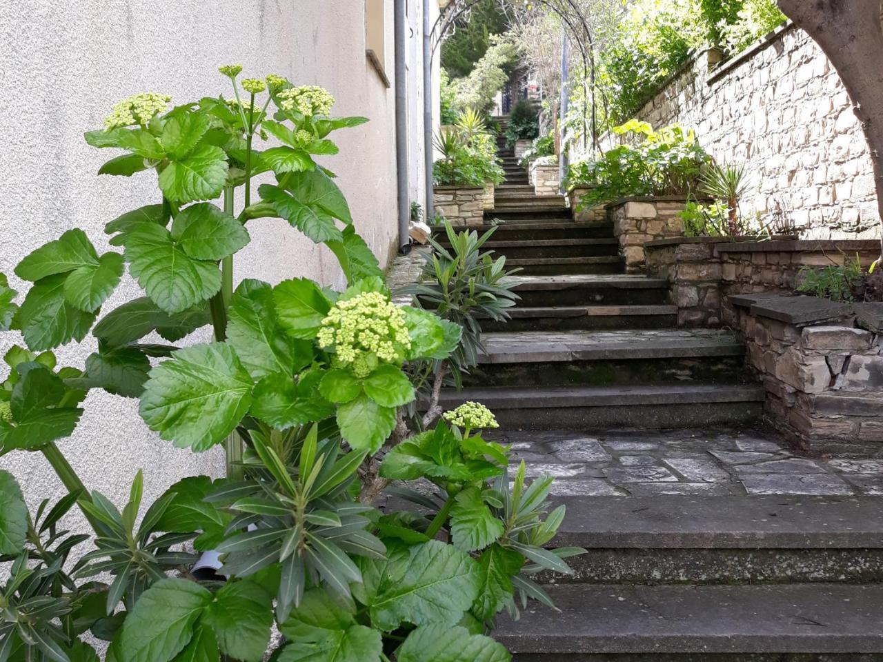 Iosiphis Stonebuilt House Guest House ปาโน เลฟคารา ภายนอก รูปภาพ